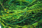 Close-Up - Green Yarn Texture