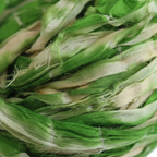 Closeup – Green