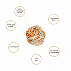 Infographic Image