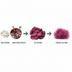 Infographic – Mulberry silk cocoon journey from raw to burgundy wine dyed fibre