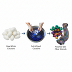 Infographic – Mulberry silk cocoon journey from raw to dyed fibre