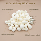 Natural White Silk Cocoons Infographic