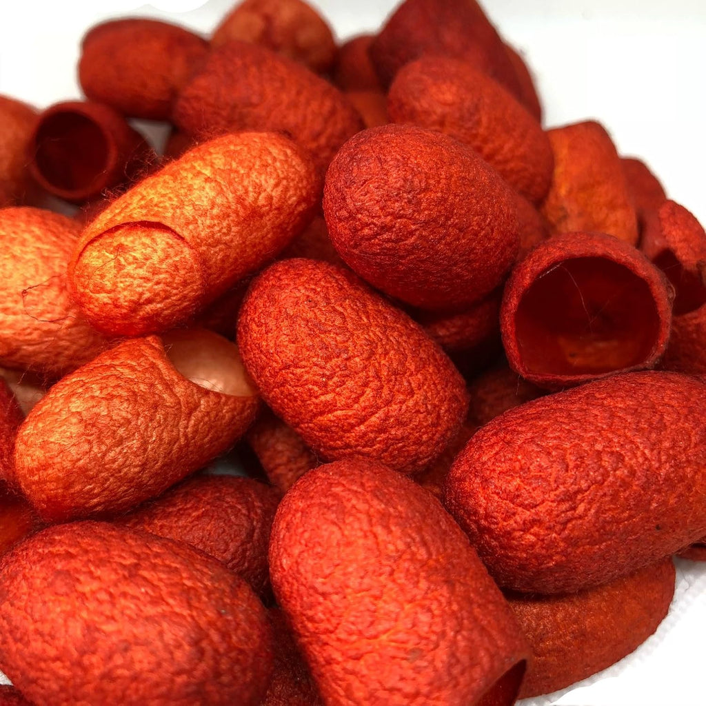 Knitsilk Hand Dyed Silk Cocoons | 30 Cut Mulberry Silk Fibers –  Orange | Pack 1