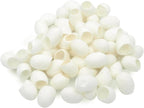 Knitsilk Hand Dyed Silk Cut Cocoons | 30 pcs | Crafting | Facial | Spa |